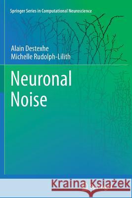 Neuronal Noise Alain Destexhe Michelle Rudolph-Lilith 9781489990297 Springer