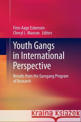 Youth Gangs in International Perspective: Results from the Eurogang Program of Research Esbensen, Finn-Aage 9781489991805