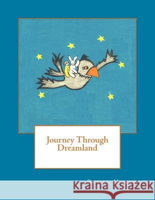 Journey Through Dreamland Renee Hazen Renee Hazen 9781490349961 Createspace