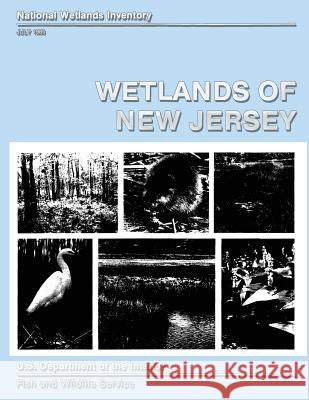 Wetlands of New Jersey Ralph W. Tine U S Fish & Wildlife Service 9781490392868 Createspace