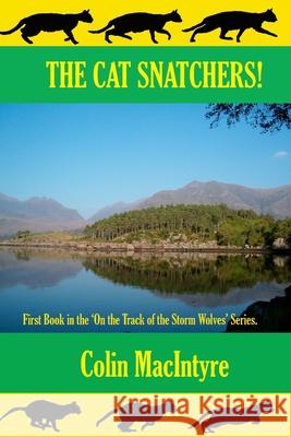 The Cat Snatchers! Colin Macintyre 9781490402741