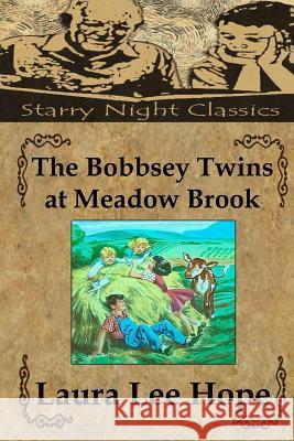 The Bobbsey Twins at Meadow Brook Laura Lee Hope Richard S. Hartmetz 9781490424972 Createspace