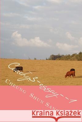 Cauchy3-essay--1: What to say Sang, Cheung Shun 9781490480053 Createspace