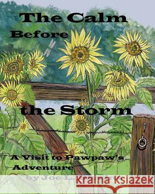 The Calm Before the Storm MR Joe L. Blevins MR Joe L. Blevins 9781490499505 Createspace