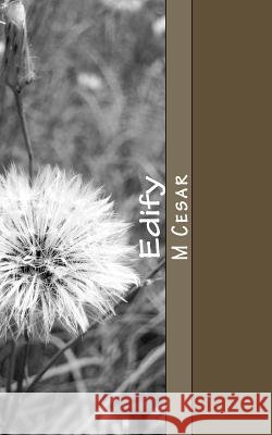 Edify: Dreams Prophecies & Visions M. Cesar 9781490502441