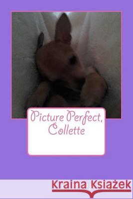 Picture Perfect, Collette: My Baby Lindsay M. Myers 9781490504926 Createspace