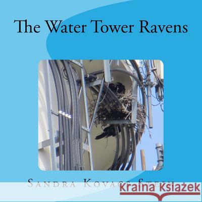 The Water Tower Ravens Sandra Kovacs Stein 9781490511405 Createspace