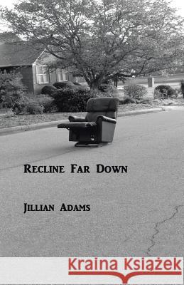Recline Far Down Jillian Adams 9781490739632 Trafford Publishing