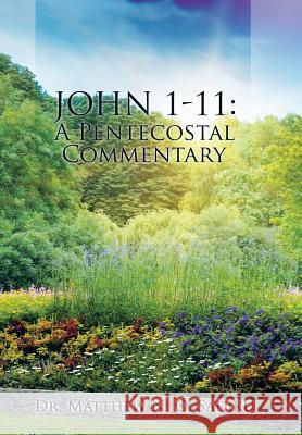 John 1-11: A Pentecostal Commentary Dr Matthew N. O. Sadiku 9781490761138 Trafford Publishing