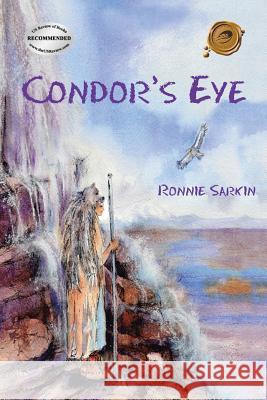 Condor's Eye Ronnie Sarkin 9781490766386