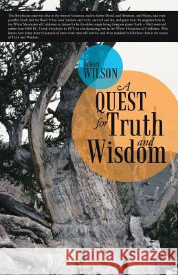 A Quest for Truth and Wisdom Robert Wilson 9781490859873