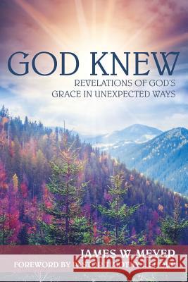 God Knew: Revelations of God's Grace in Unexpected Ways James W. Meyer 9781490865638 WestBow Press