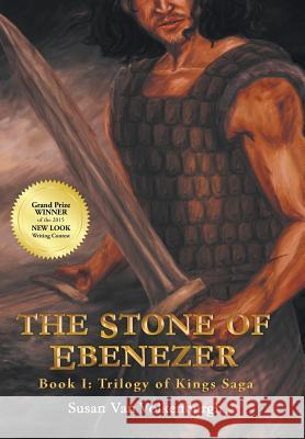 The Stone of Ebenezer Susan Van Volkenburgh 9781490882291