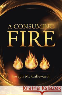 A Consuming Fire Joseph M. Callewaert 9781490883588 WestBow Press