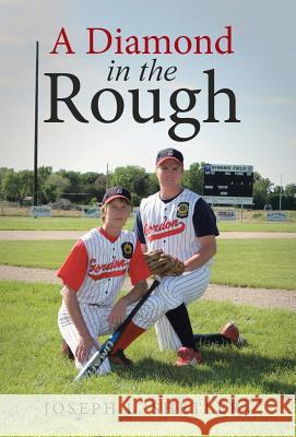 A Diamond in the Rough Joseph L. Shetler 9781490894157