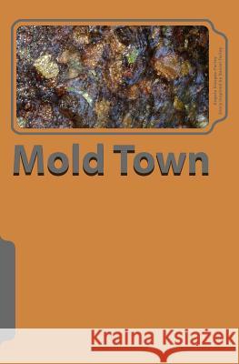 Mold Town Angela Dungee-Farley Daniel Keith Farley 9781490967219