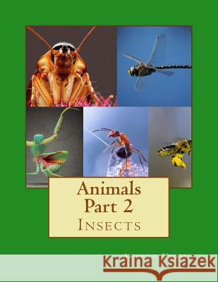 Animals Part 2: Insects Andrew Vecsey 9781491001998 Createspace