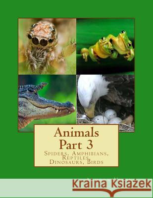 Animals Part 3: Spiders, Amphibians, Reptiles, Dinosaurs, Birds Andrew Vecsey 9781491002308 Createspace