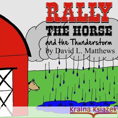 Rally the Horse and the Thunderstorm David L. Matthews 9781491009321