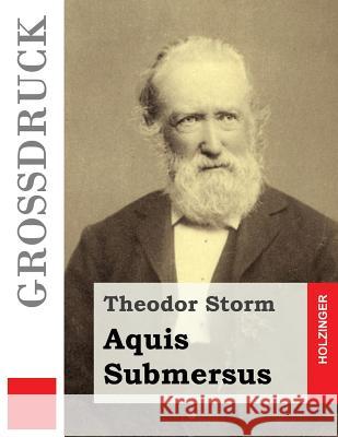 Aquis Submersus Theodor Storm 9781491032848 Createspace