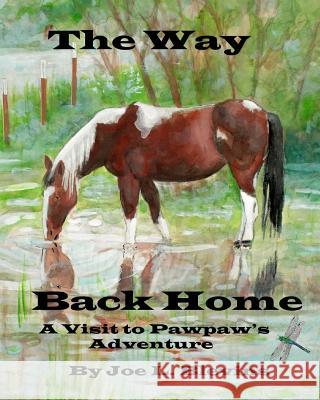 The Way Back Home MR Joe L. Blevins MR Joe L. Blevins 9781491043325 Createspace