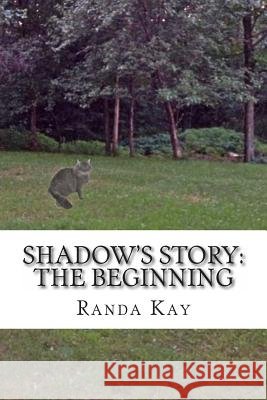 Shadow's Story: The Beginning Randa Kay 9781491046739