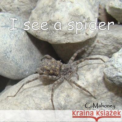 I see a spider: at Bonita Falls in Lyttle Creek C. Mahoney 9781491200674 Createspace Independent Publishing Platform