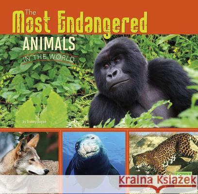 The Most Endangered Animals in the World Tammy Gagne 9781491422373 