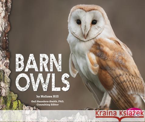 Barn Owls Melissa Hill 9781491460511