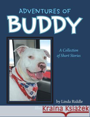 Adventures of Buddy: A Collection of Short Stories Linda Riddle 9781491813263 Authorhouse