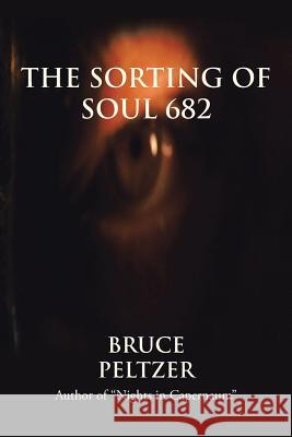 The Sorting of Soul 682 Bruce Peltzer 9781491818312