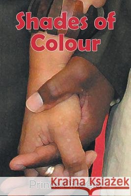 Shades of Colour Prince Dibeela 9781491895061