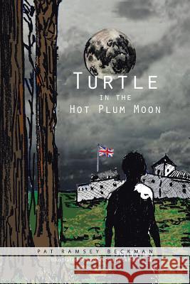 Turtle in the Hot Plum Moon Pat Ramsey Beckman 9781491899571