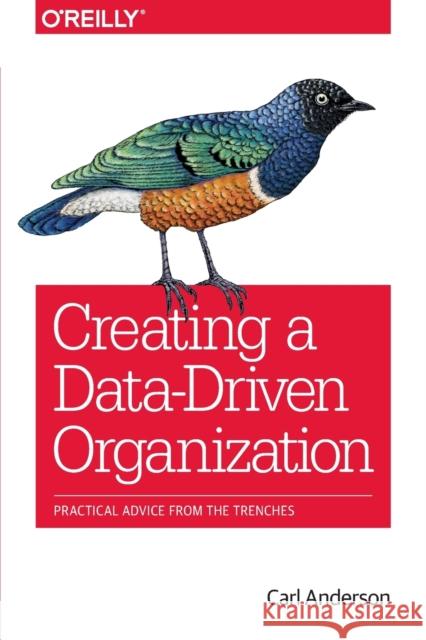 Creating a Data-Driven Organization Carl Anderson 9781491916919 John Wiley & Sons