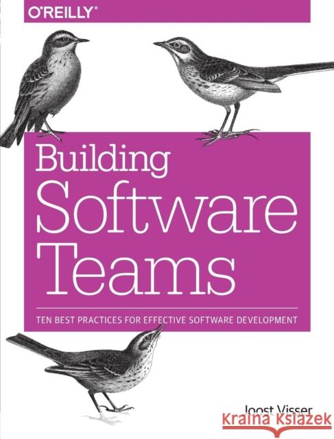 Building Software Teams: Ten Best Practices for Effective Software Development Visser, Joost; Rigal, Sylvan; Wijnholds, Gijs 9781491951774