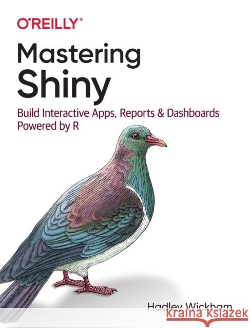 Mastering Shiny: Build Interactive Apps, Reports, and Dashboards Powered by R Hadley Wickham 9781492047384 O'Reilly Media