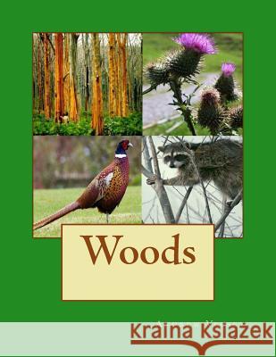 Woods Andrew Vecsey 9781492113799 Createspace