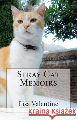 Stray Cat Memoirs Lisa M. Valentine Courtney Valentine 9781492116875