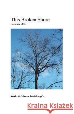 This Broken Shore Daniel Weeks 9781492127024