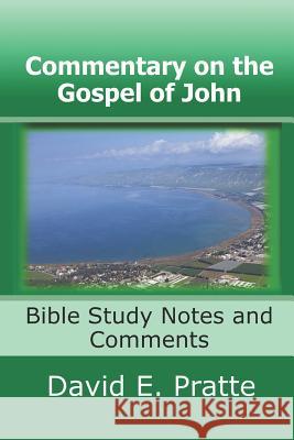 Commentary on the Gospel of John: Bible Study Notes and Comments David E Pratte 9781492190547 Createspace Independent Publishing Platform