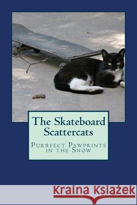 The Skateboard Scattercats Dr Ruth Benjamin 9781492213765