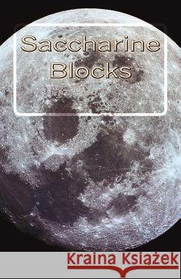 Saccharine Blocks B. Donovan 9781492236788 Createspace