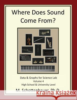 Where Does Sound Come From? Data & Graphs for Science Lab: Volume 4 Stephen R. Donaldson M. Schottenbauer 9781492292630 G. P. Putnam's Sons