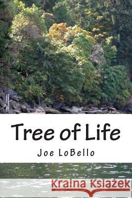 Tree of Life: Branches of Faith Joe Lobello 9781492298779 Createspace