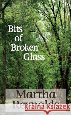 Bits of Broken Glass Martha Reynolds 9781492318392