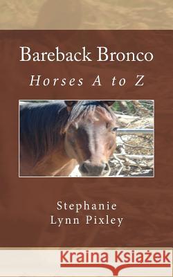 Bareback Bronco Stephanie Lynn Pixley 9781492323136 Createspace