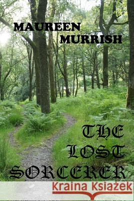 The Lost Sorcerer: A Novella Maureen Murrish 9781492369714