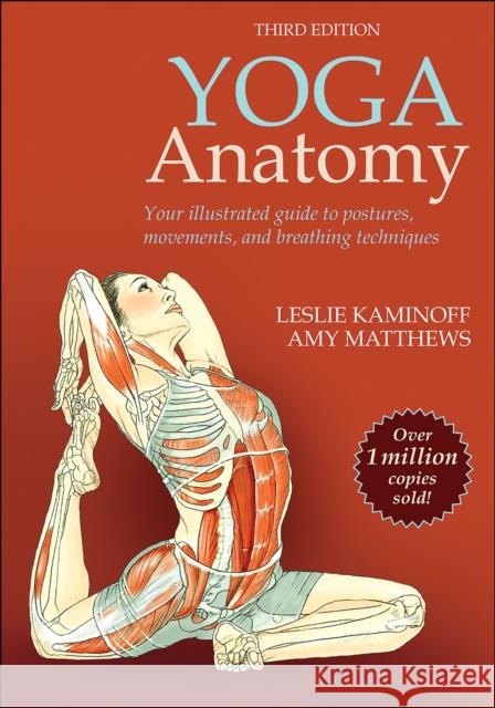 Yoga Anatomy Leslie Kaminoff Amy Matthews 9781492596479 Human Kinetics Publishers