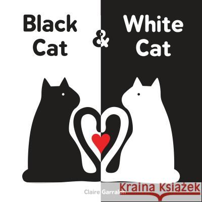 Black Cat & White Cat Claire Garralon 9781492637813 Sourcebooks Jabberwocky