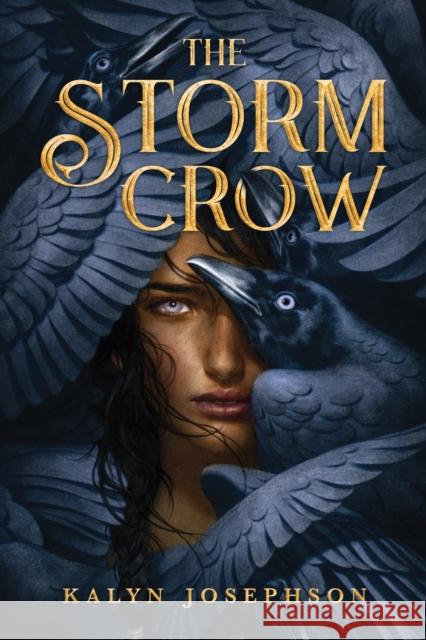 The Storm Crow Kalyn Josephson 9781492672937 Sourcebooks Fire